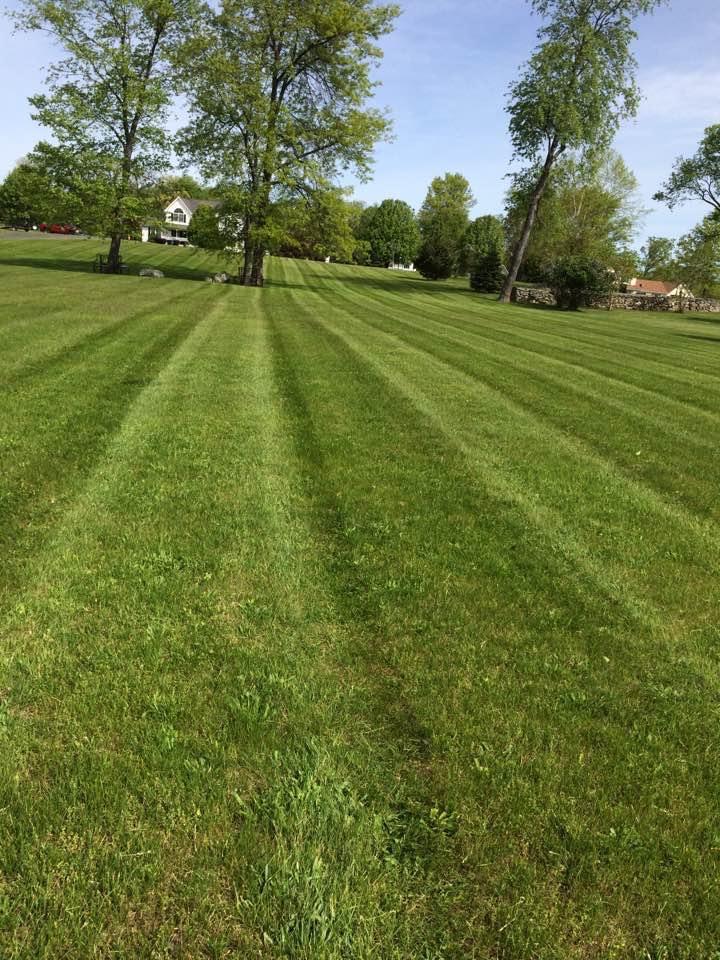 Imagen de portada de la pagina